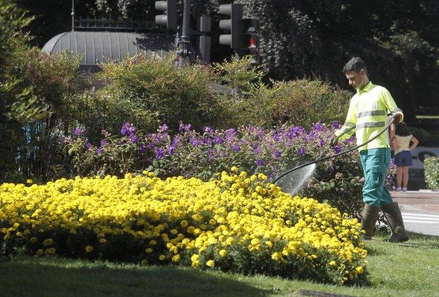 El Ayuntamiento recorta el riego otro 60% y el baldeo un 20% ante la sequía