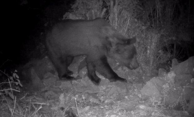 'Aurelión', de casa rural en Teverga