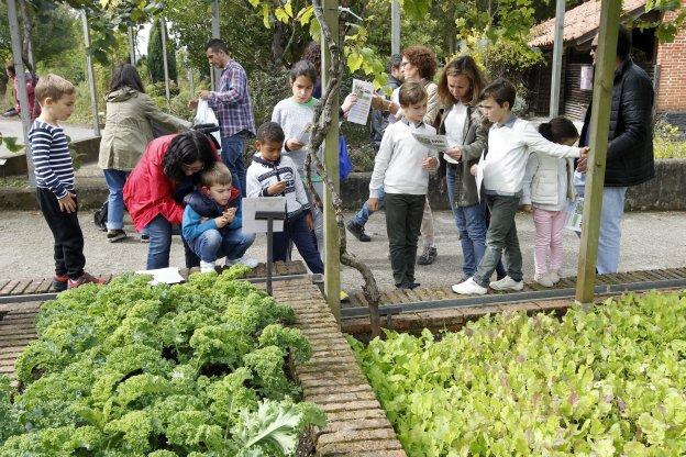 Otoño con yincana de frutas y vino