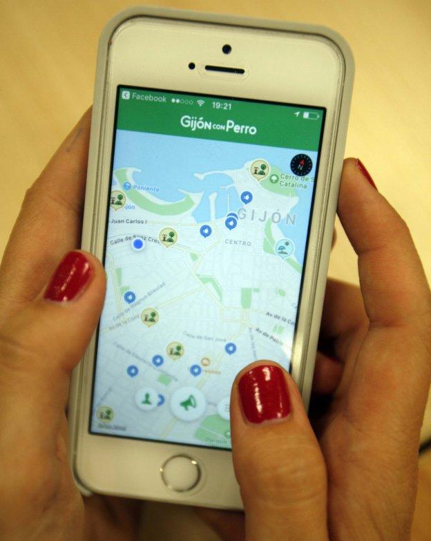 El veneno para perros, en tiempo real