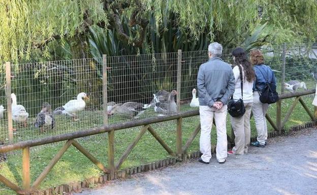 Los ecologistas rechazan que Isabel la Católica pueda albergar ferias y mercadillos