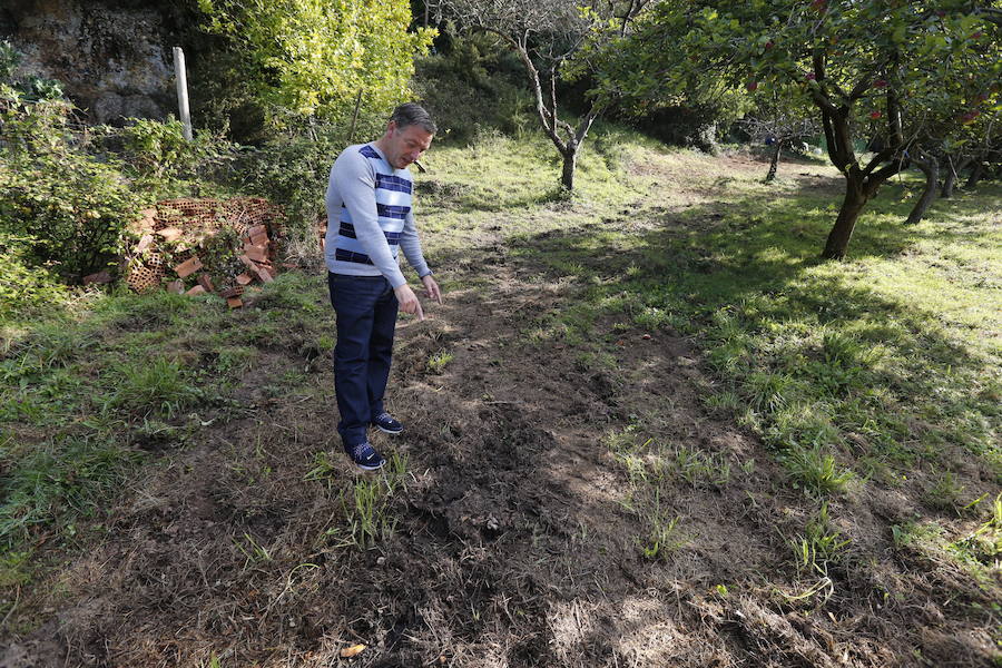 «Este es el 'kilometrín' de los jabalíes»