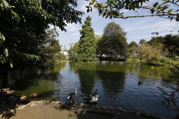 Ultimátum municipal a la firma contratada para dragar los estanques de Isabel la Católica