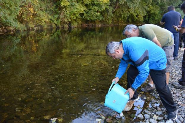 Dos mil alevines de trucha con genética del río Narcea