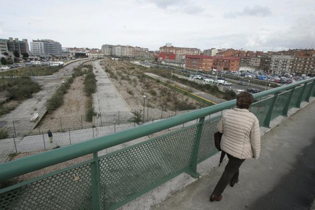 Couto asegura que el anuncio de Fomento sobre la estación supone «pasar a los hechos»