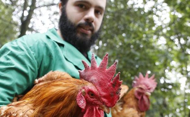 Pitu Caleya: el pata negra de la granja asturiana