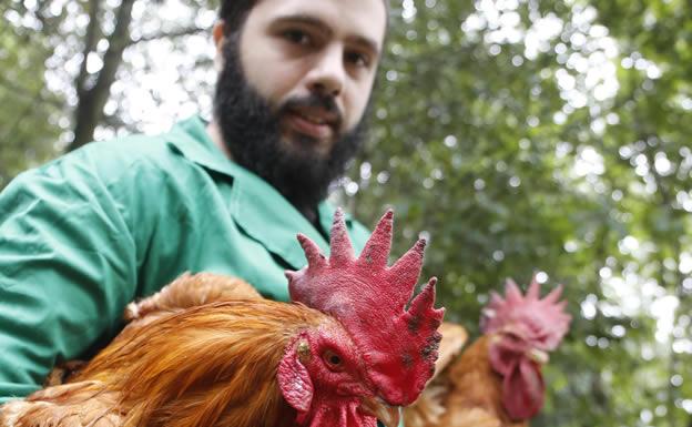 Pitu caleya: el pata negra de la granja asturiana