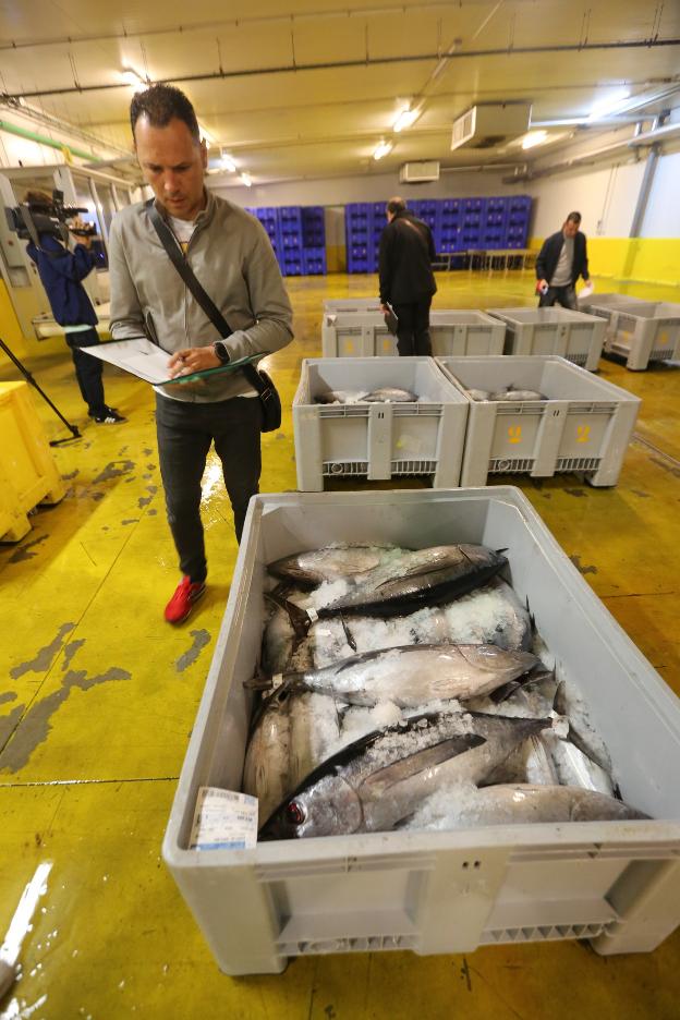 La costera del bonito se cierra con 875.000 kilos rulados, un 17% más que el año pasado