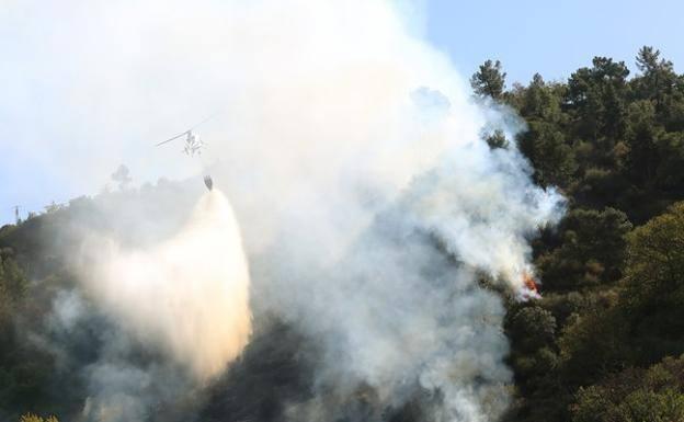 Identifican a un vecino de Oviedo de 84 años como presunto autor de un incendio en León
