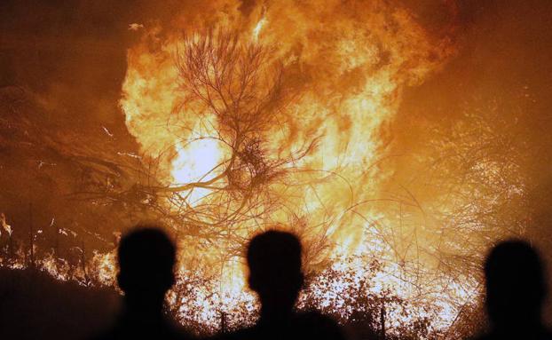 Incendios en Galicia: un brigadista pirómano dice que cobraba entre 50 y 150 euros por cada fuego