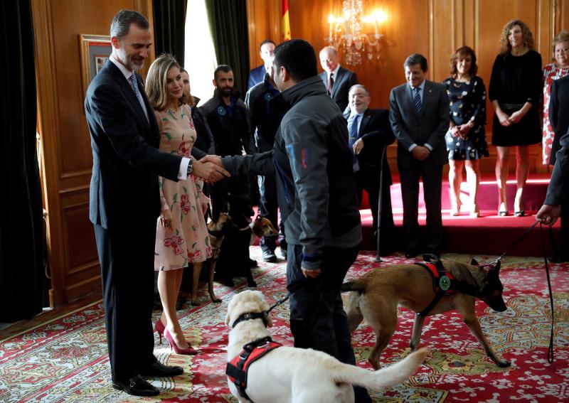 Premios Princesa de Asturias: Los Reyes reciben en audiencia a los galardonados con las Medallas de Asturias