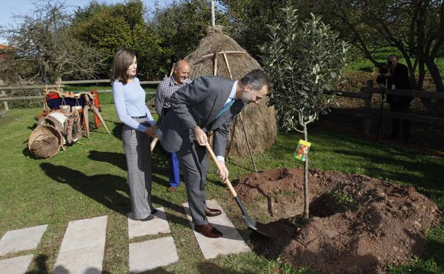«Esto solo pasa una vez en la vida»