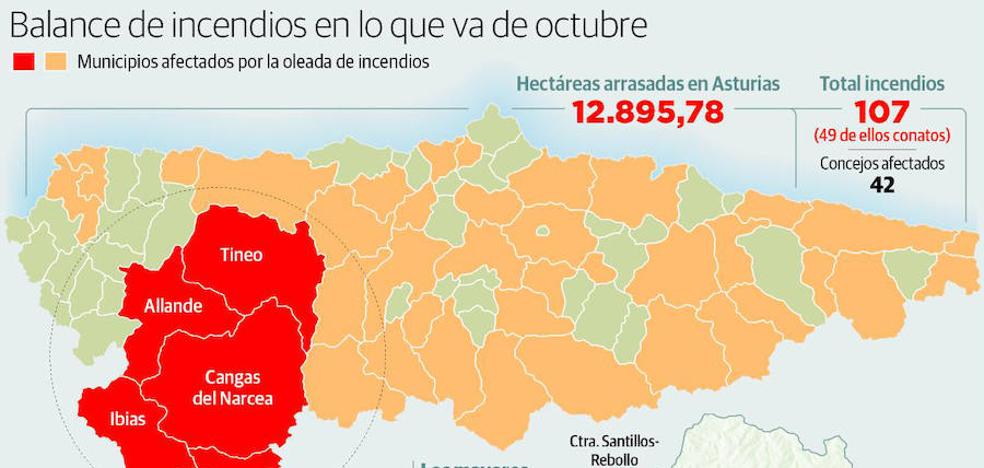 El fuego arrasó 12.825 hectáreas