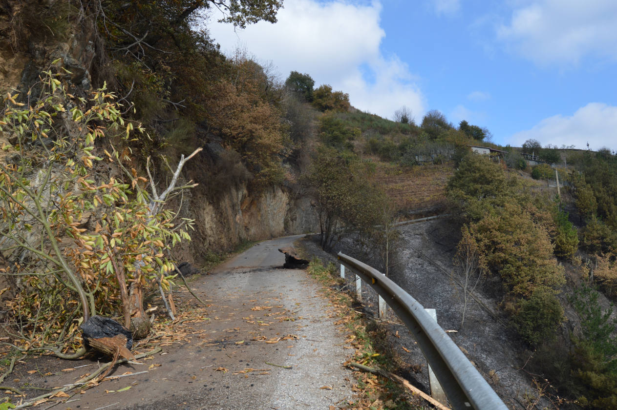 Cangas del Narcea, tras las llamas