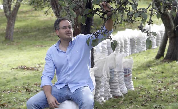 La supercosecha que ‘alarma’ a los productores de manzana