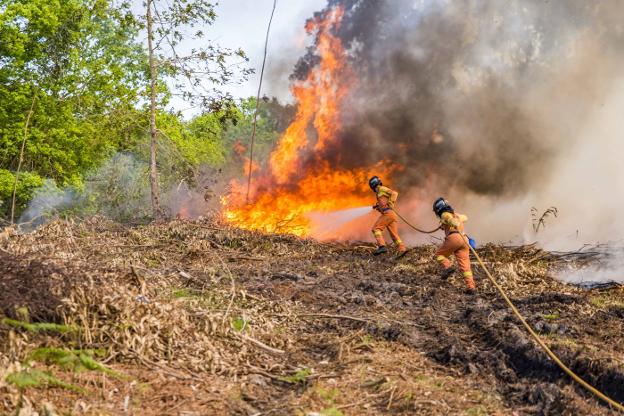 Asturias sufre el peor año de incendios forestales con 26.882,4 hectáreas afectadas