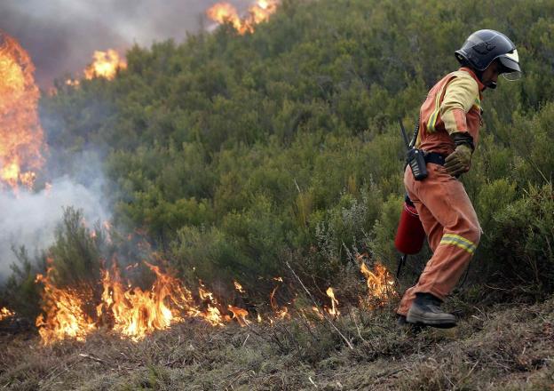 La Fiscalía sospecha que los últimos incendios «tienen una motivación distinta» a la ganadera