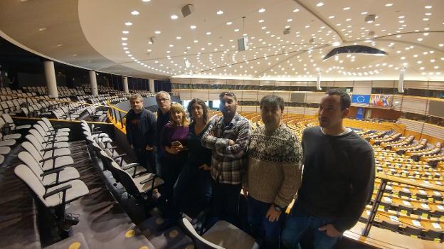 Los intoxicados por mercurio exigen en Bruselas una mejor atención médica