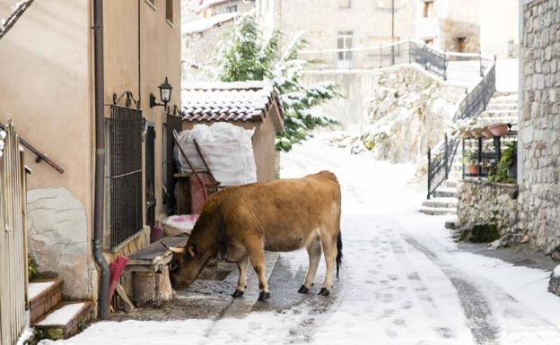 Cinco noticias que deberías saber antes de irte a dormir