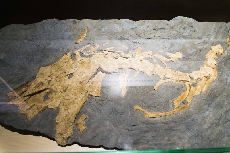 El MUJA amplía su colección