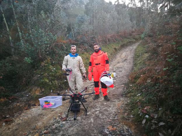 Diseñan un dron que dispara proyectiles con insecticida contra la avispa asiática