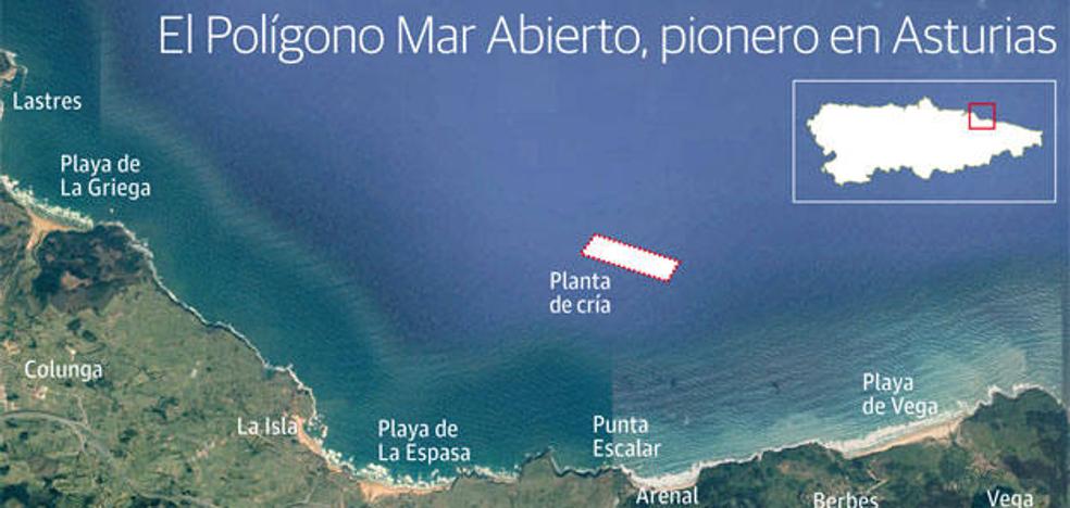 Las «exigencias surrealistas» del Principado paralizan la mejillonera