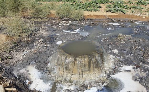 El daño medioambiental de las toallitas húmedas cuesta seis euros al año por persona