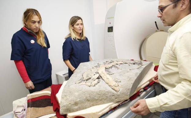 Escanean huesos de dinosaurios en Gijón