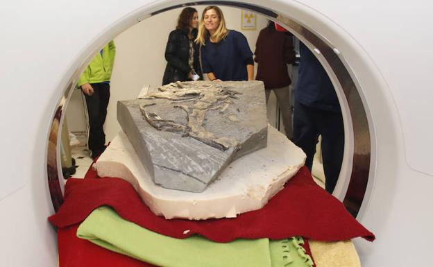 Un dinosaurio en el escáner