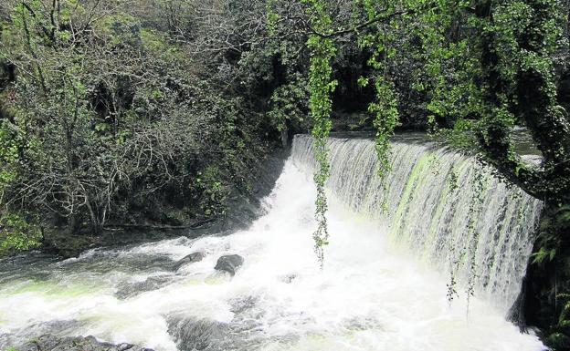 Cascada del Suarón-Meredo