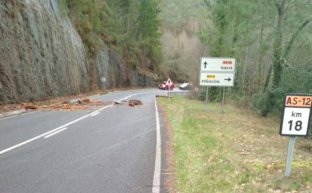 Un argayo bloquea la circulación en la AS-12, en Boal