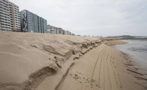 La playa de San Lorenzo de Gijón recuperó una superficie de arena como casi siete campos de fútbol