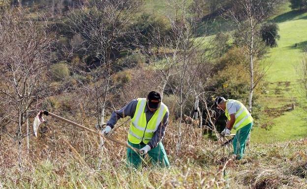 El Naranco se blindará contra la especulación y el tráfico con un plan de protección