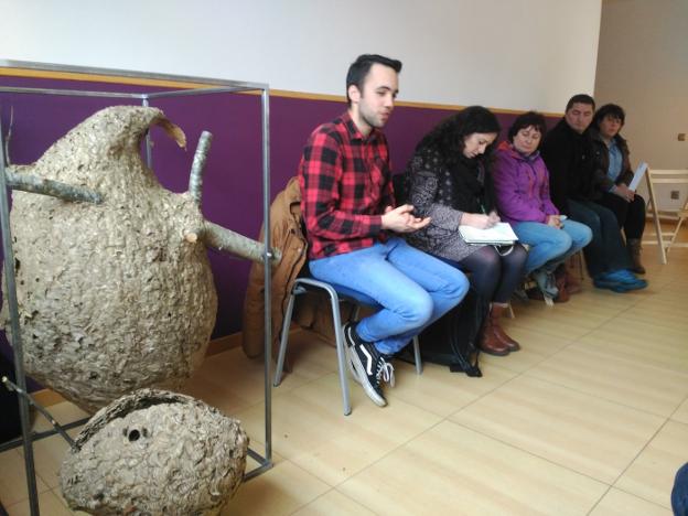 Podemos pregunta en Europa sobre los recursos para frenar a la avispa asiática