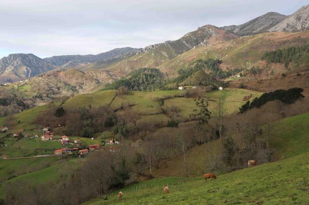 El Sueve contará con un ordenamiento pionero de pastos y quema controlada