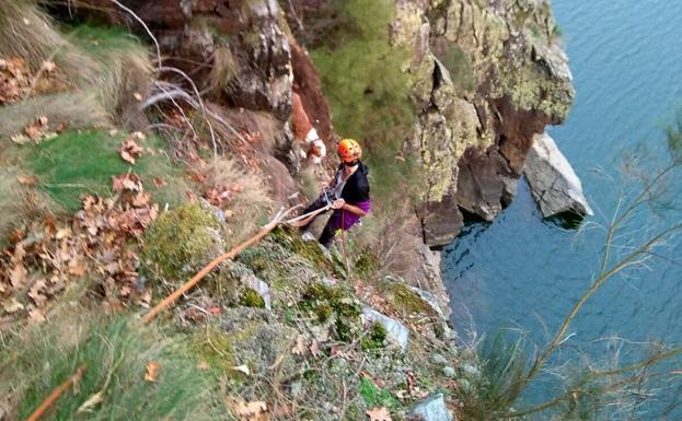 'Luna' y 'Tarzán', un rescate profesional