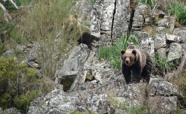 ¿Qué hacer este miércoles en Asturias?