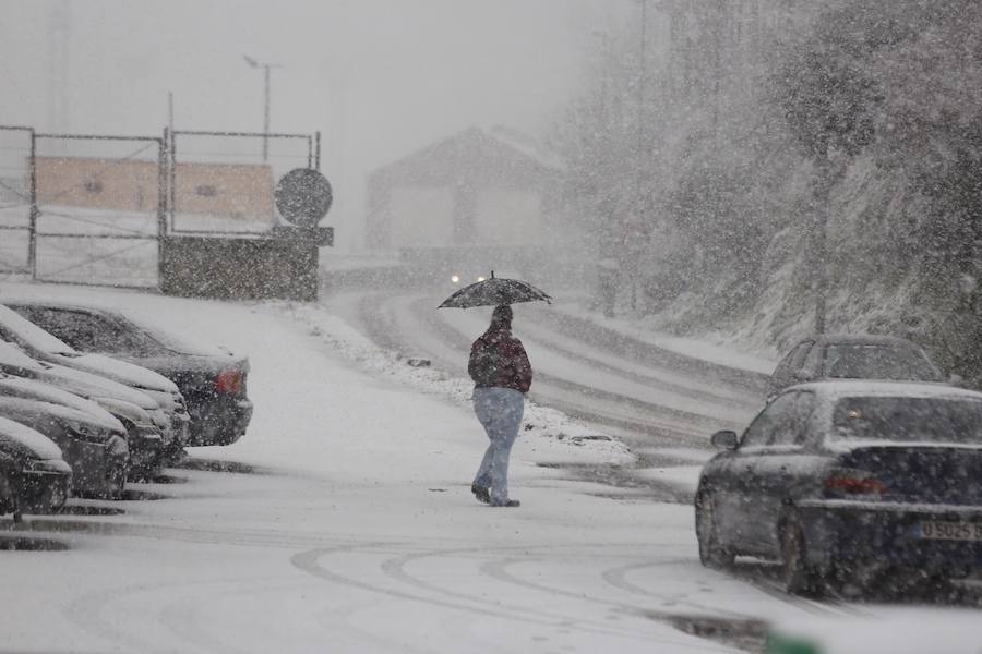 El ola de frío tiñe Asturias de blanco