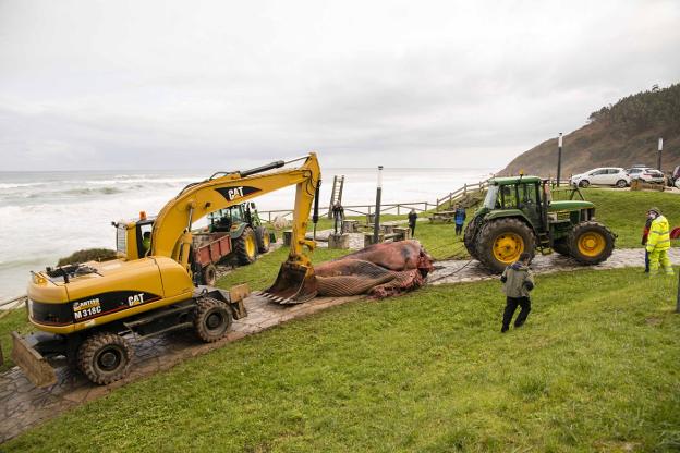 Del Cantábrico al vertedero de Serín