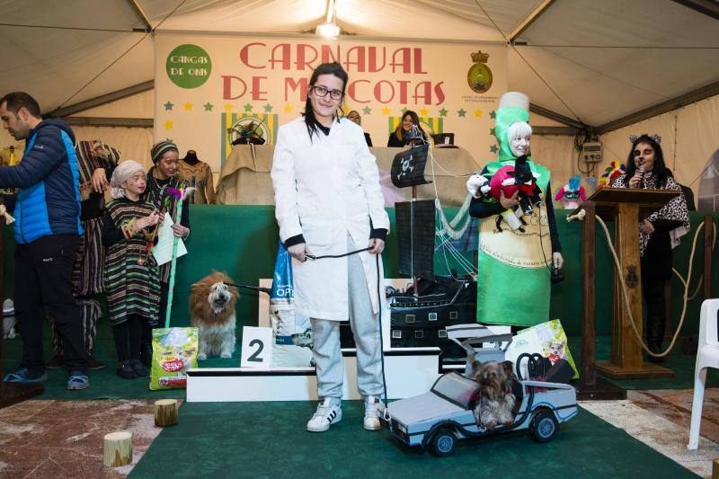 Cangas de Onís disfraza a sus mascotas