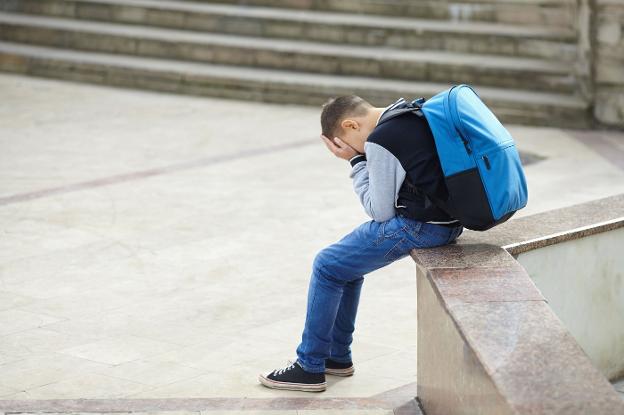 El plan antiacoso en las aulas deberá ser activado en menos de tres días tras la denuncia