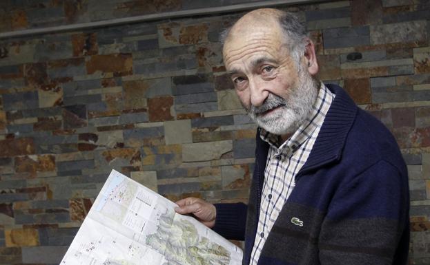 «Cuando se detecta un árbol infectado por picudo rojo hay que eliminarlo»