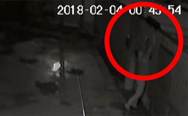 Buscan a un individuo que arrojó por encima de una verja a su perra embarazada en Pontevedra