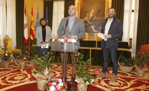 Las camelias, al descubierto