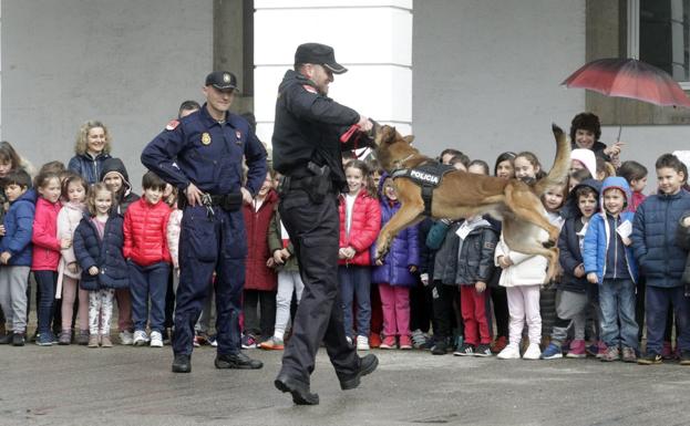 Policías «para detener a los malos»