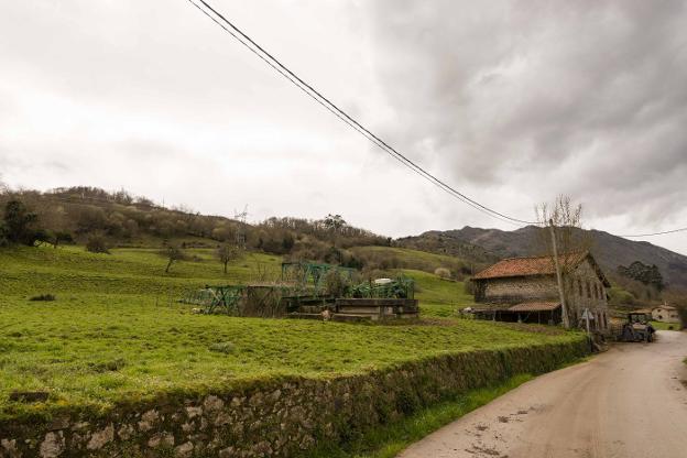 Peñamellera Baja adquiere una finca en Panes para levantar la residencia