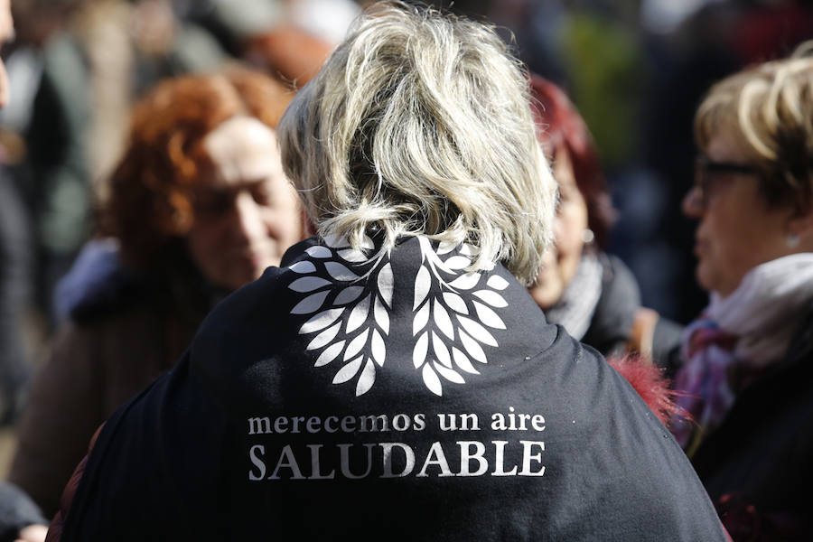Miles de personas se concentra en Gijón contra la contaminación en Asturias