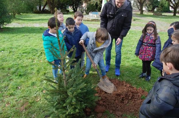 Los niños ponen un árbol en su vida | El Comercio