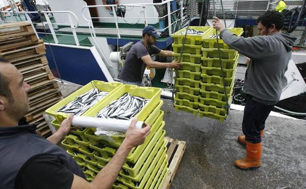 La flota pesquera tendrá cuotas personalizadas a partir de 2019