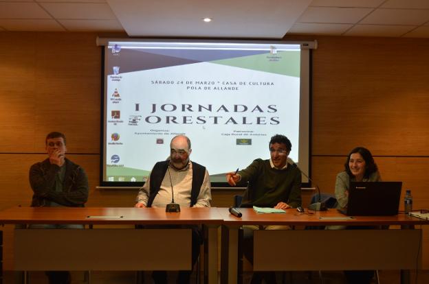 El gochu celta y el castaño, una salida sostenible para el monte asturiano